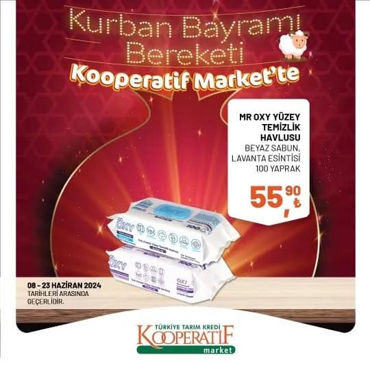 Mr. Oxy temizlik havlusu