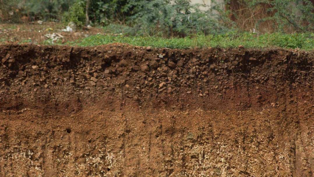 Toprak ıslahı avantajları