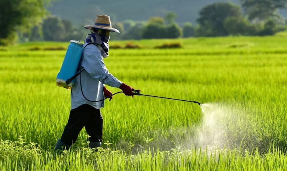 Yaprak gübresi avantajları