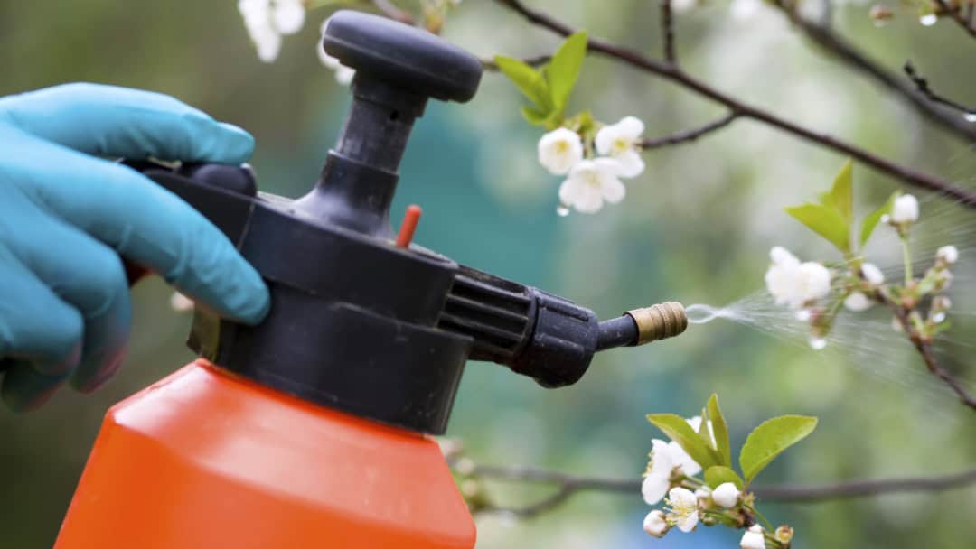 Yaprak gübresi fiyatları