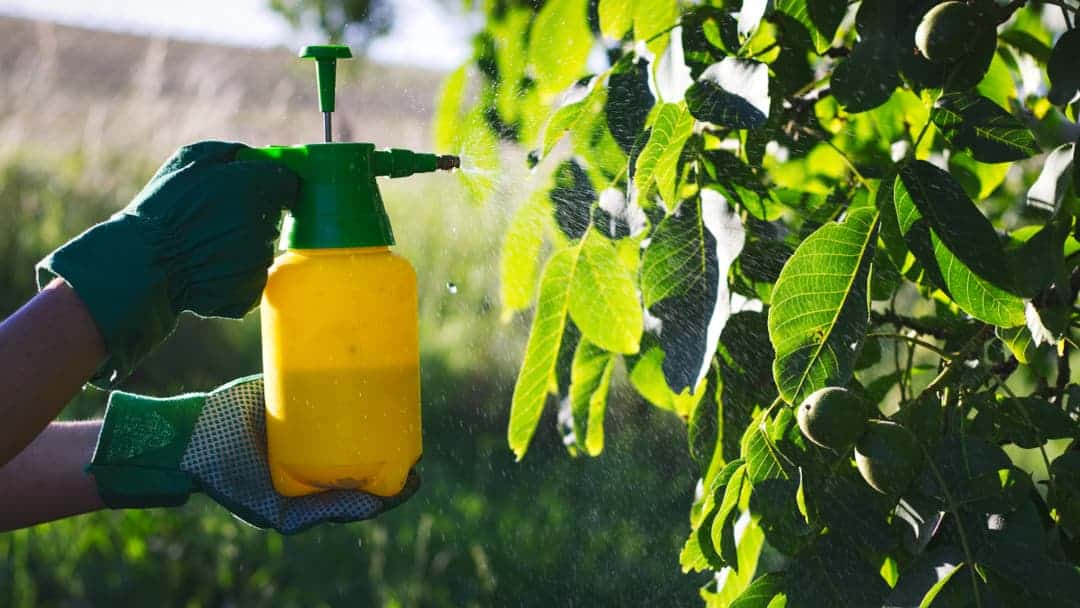 Yaprak gübresi tanımı