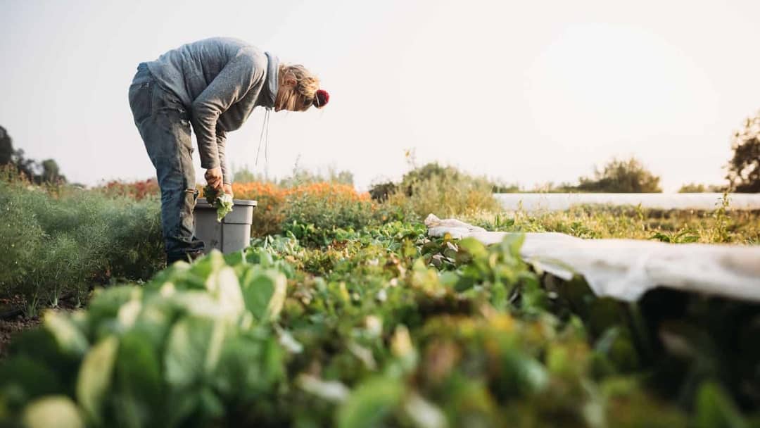 Agroekoloji temel ilkeleri