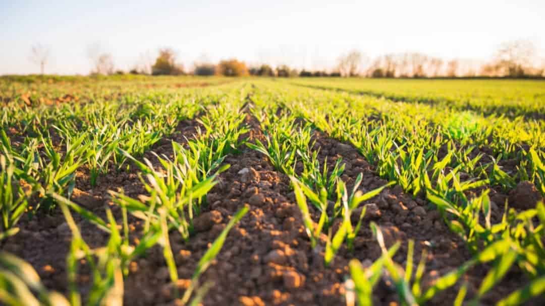 Çevreye duyarlı tarım