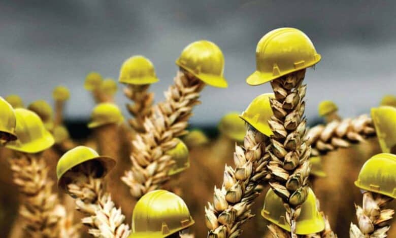 Ek 5 Tarım Sigortası Nedir?