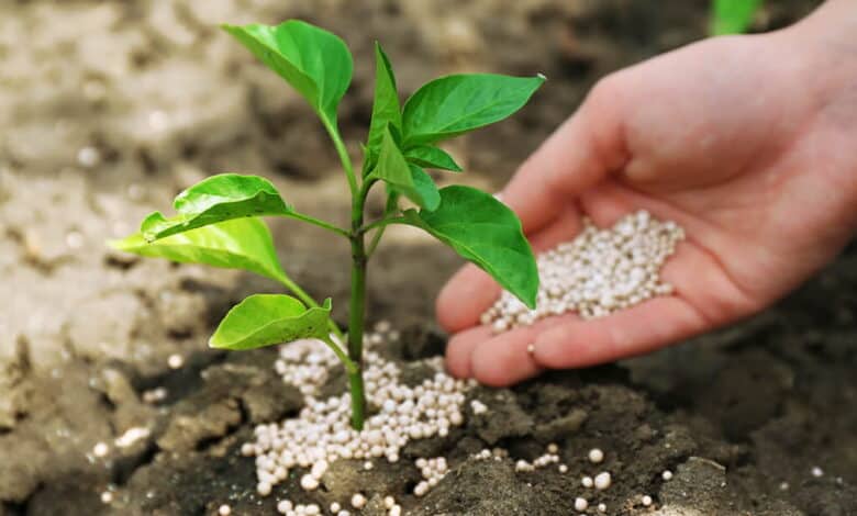 Tarım Kredi gübre fiyatları