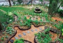 Sürdürülebilir Tarımda Permakültür Prensipleri