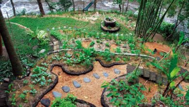 Sürdürülebilir Tarımda Permakültür Prensipleri