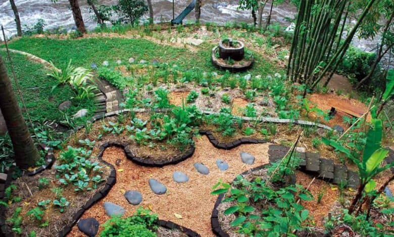 Sürdürülebilir Tarımda Permakültür Prensipleri