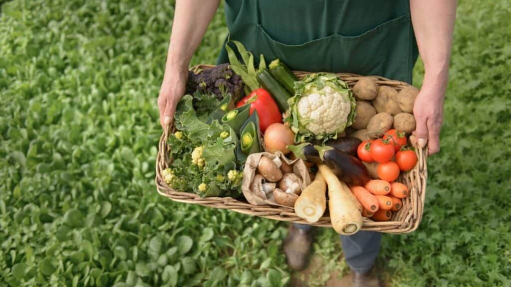 Türkiye'de ekstansif tarım yerleri