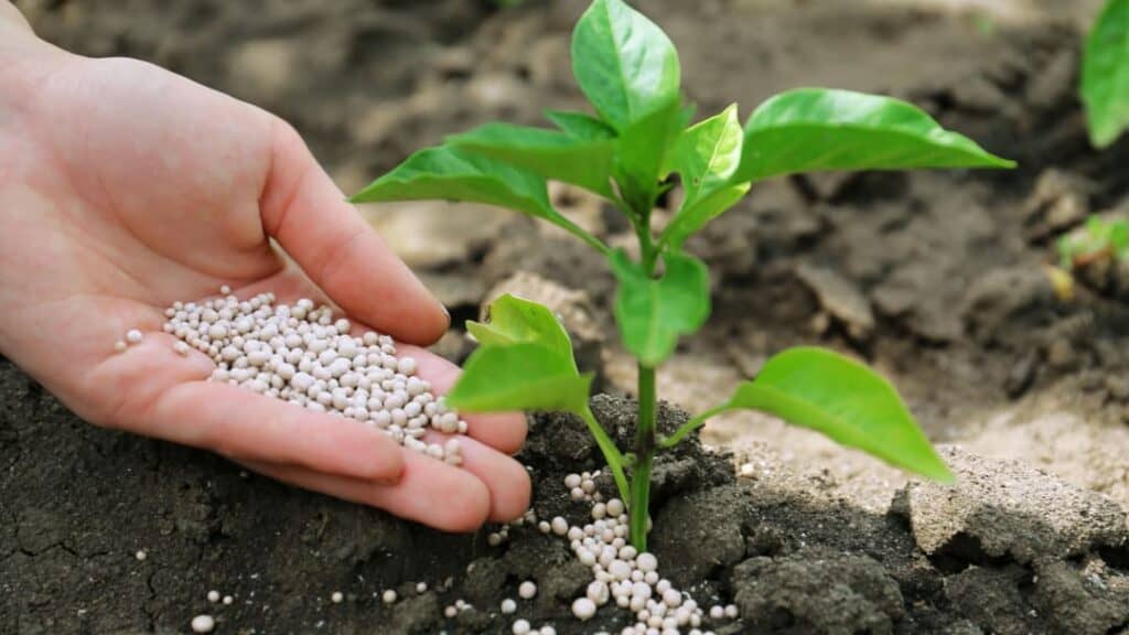 Fosfonik asit bazlı fungisitler