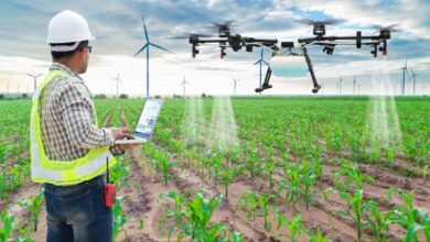 Hassas tarım nedir, nasıl uygulanır