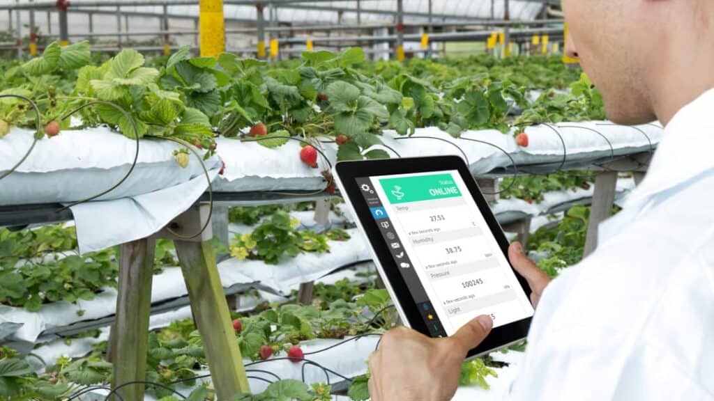 Topraksız tarımda yazılımsal pH ölçümü