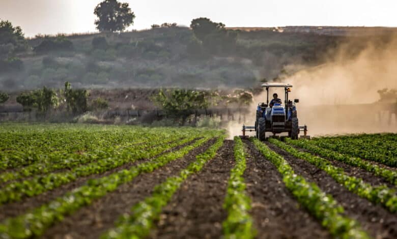 İntansif tarım nedir, nasıl yapılır