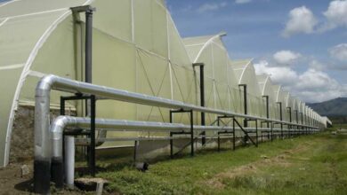 Jeotermal sera nedir