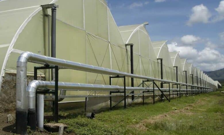 Jeotermal sera nedir