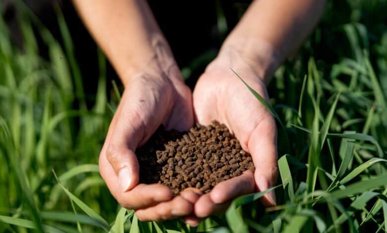 Taban gübresi nedir, ne zaman uygulanır?