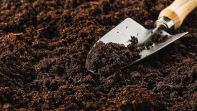 Toprak ıslahı nedir, nasıl yapılır?