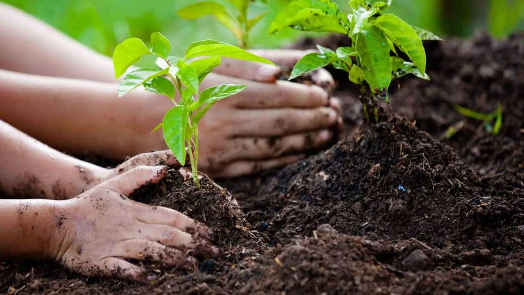 Kompostlama ve sürdürülebilirlik