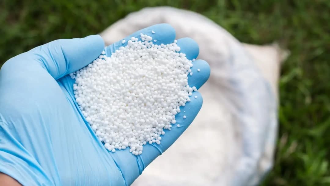 Amonyum sülfat gübresi