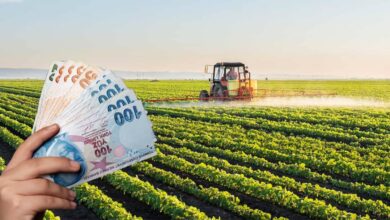Tarımsal Destekleme Ödemeleri Sorgulaması Nasıl Yapılır?