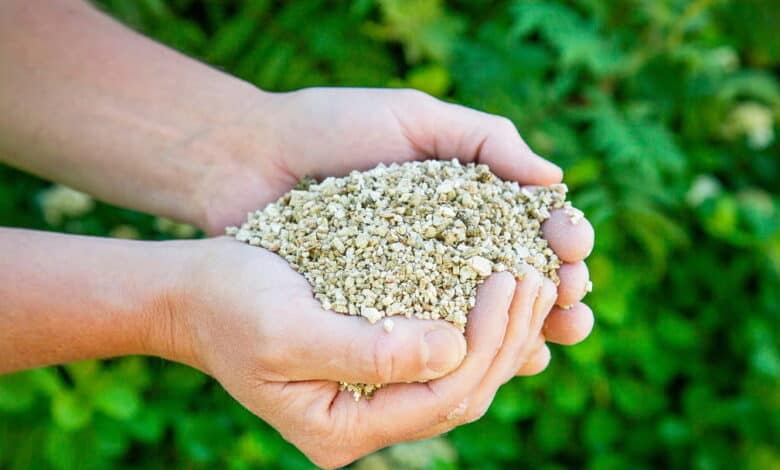 Vermikülit Nedir? Topraksız Tarımda Neden Kullanılır?