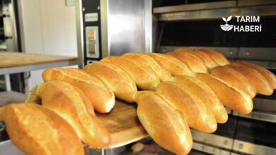 İzmir Fırıncılar Odası Başkanı Kemal Sırtı