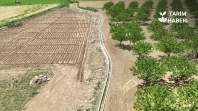 Malatya Suya Yön Toprağa Can Veren Projeler