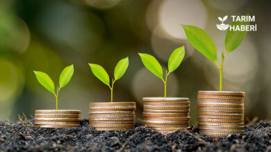 Tarım destek ödemeleri