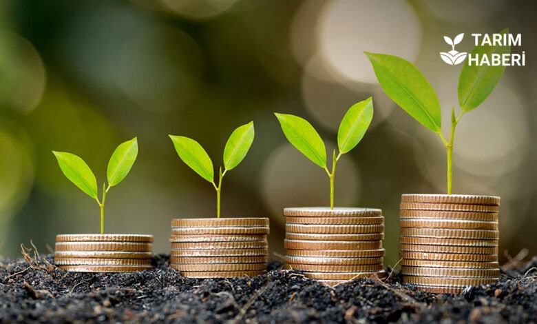 Tarım destek ödemeleri