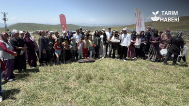 Ardahan yaylalarında sağlıklı hayvancılık eğitimi