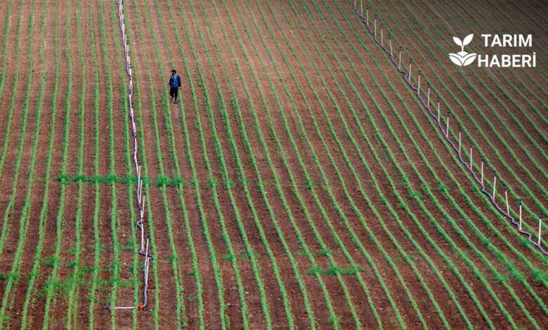 Tarım arazileri vasıf değişikliği süreci üreticiyi zorluyor