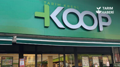 Tarım kredi market şirketinin zararları meclis gündeminde