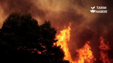 Bakan yumaklı orman yangınlarına ilişkin basın açıklaması yaptı