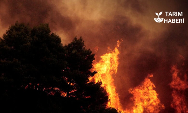 Bakan yumaklı orman yangınlarına ilişkin basın açıklaması yaptı