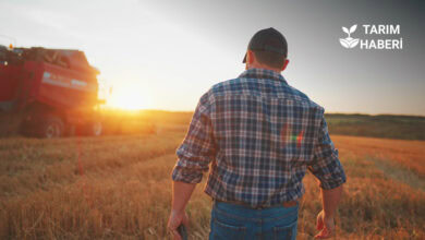 Çiftçiler SGK primlerini ödeyemiyor