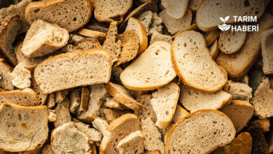 Gıda israfı ciddi boyutlarda