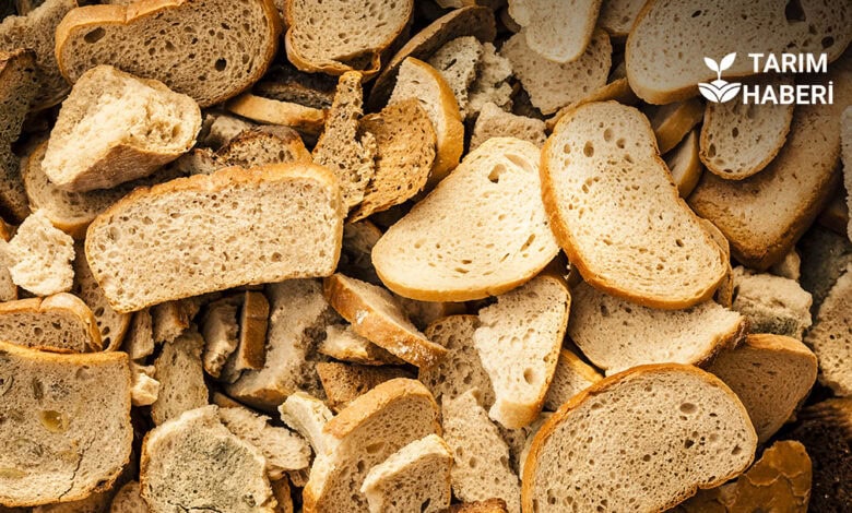 Gıda israfı ciddi boyutlarda