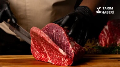 FAO kırmızı et fiyatları tarihi zirveyi gördü