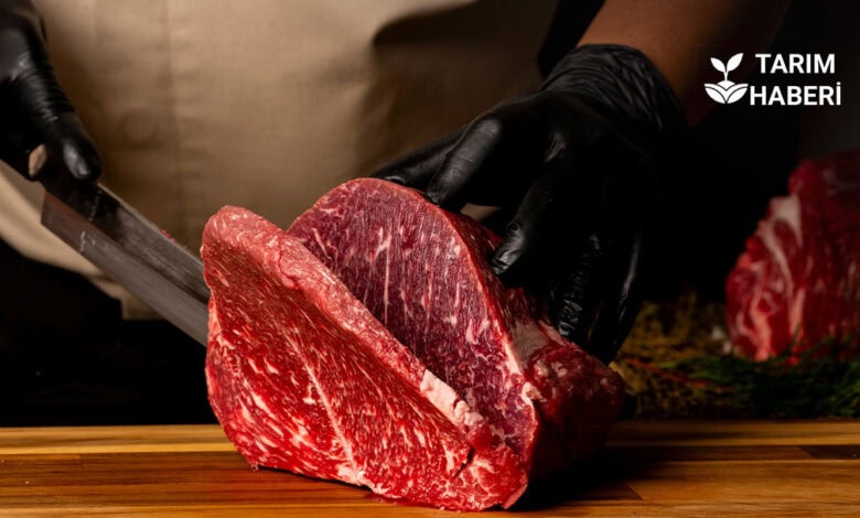 FAO kırmızı et fiyatları tarihi zirveyi gördü