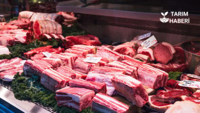 FAO küresel gıda endeksi temmuz ayı yükselişi