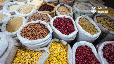 Güneydoğu Anadolu Bakliyat ihracatında lider