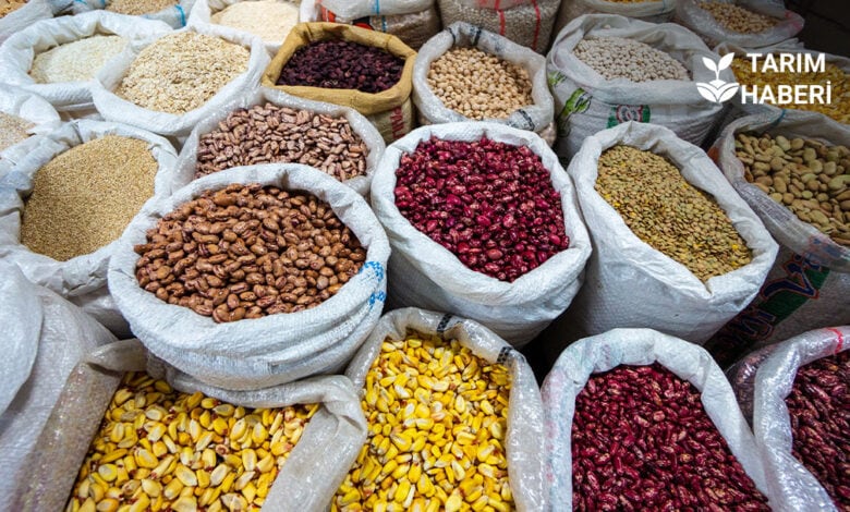 Güneydoğu Anadolu Bakliyat ihracatında lider