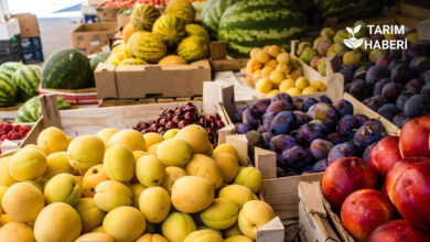 Hal kanunu düzenlemesi yolda
