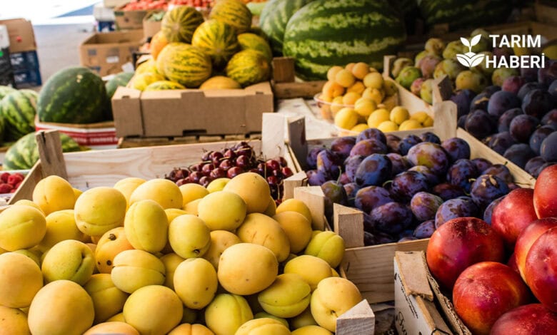 Hal kanunu düzenlemesi yolda