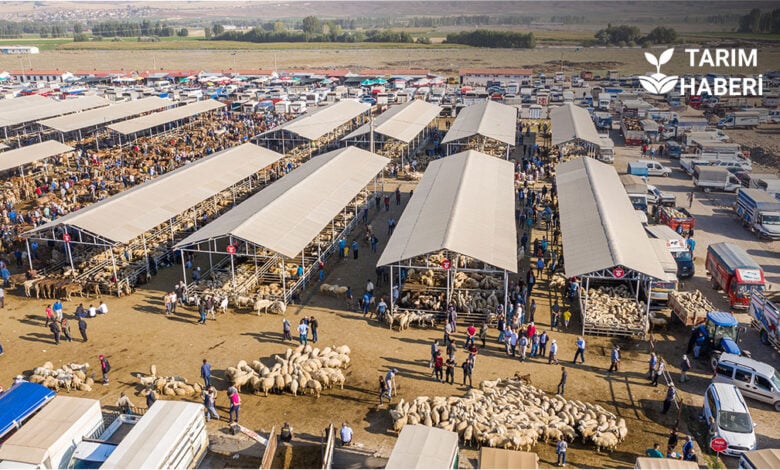 Hayvan pazarı açılış tarihi