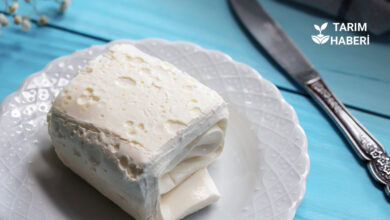 Kaymak ve krema üretimine ilişkin kurallar güncellendi