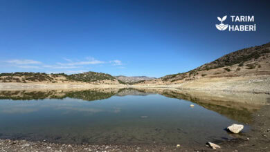 Konya'da su kaynakları tükeniyor