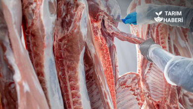Küresel et ve süt sektöründe büyüme bekleniyor