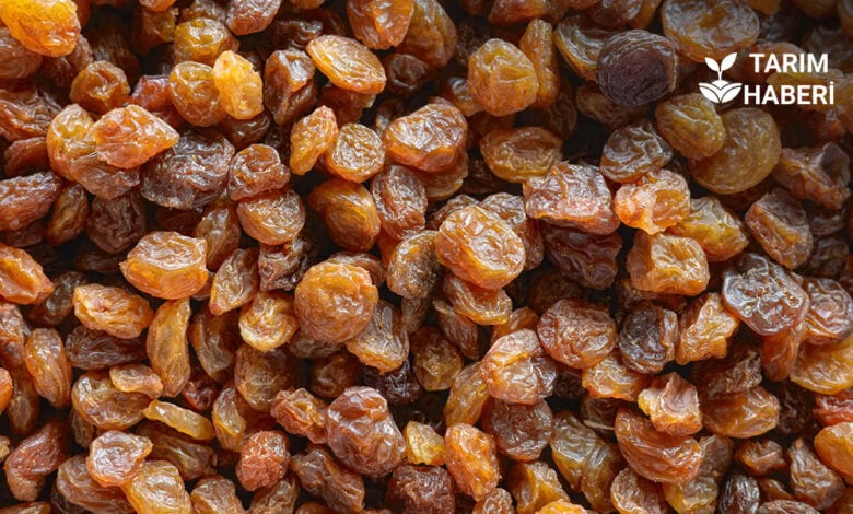 Kuru üzüm avans fiyatına tepki