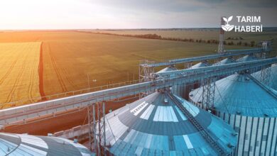 Hububatta lisanslı depoculuk Yönetmeliği değişti